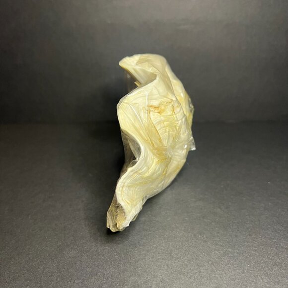 Vintage Decorative Hand-Crafted Seashell Aquatic Marine Fish Art Scene 3.75 x 6" - Picture 6 of 8